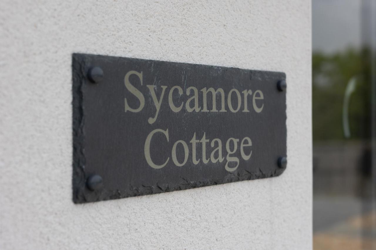 Sycamore Cottage Tenby Bagian luar foto
